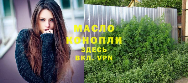 мет Пересвет