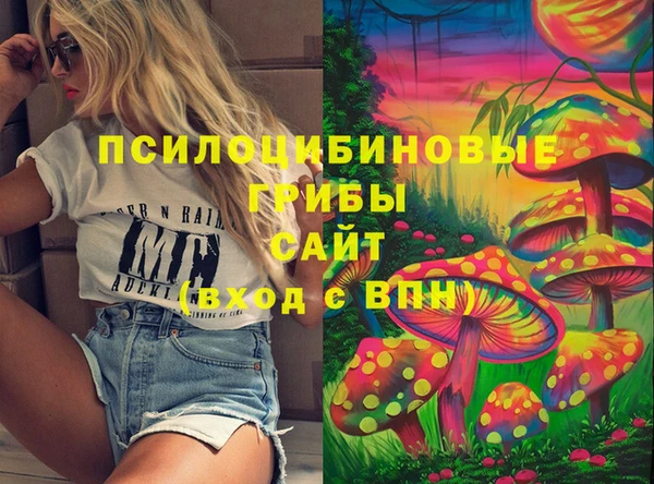 соль ск Переславль-Залесский