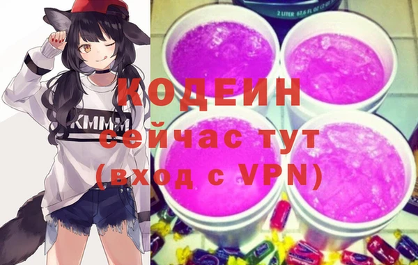 соль ск Переславль-Залесский