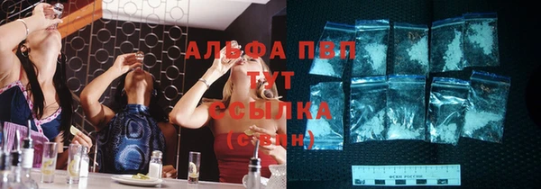 соль ск Переславль-Залесский