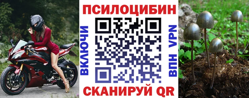 Галлюциногенные грибы Cubensis Приморск